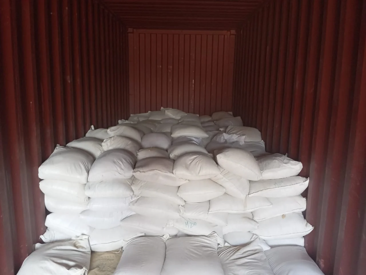 Empaque y cargue en contenedor