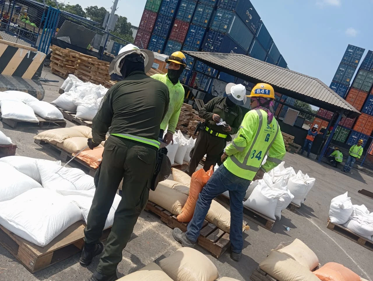 Equipo de POLOLOGYS preparando material en puerto