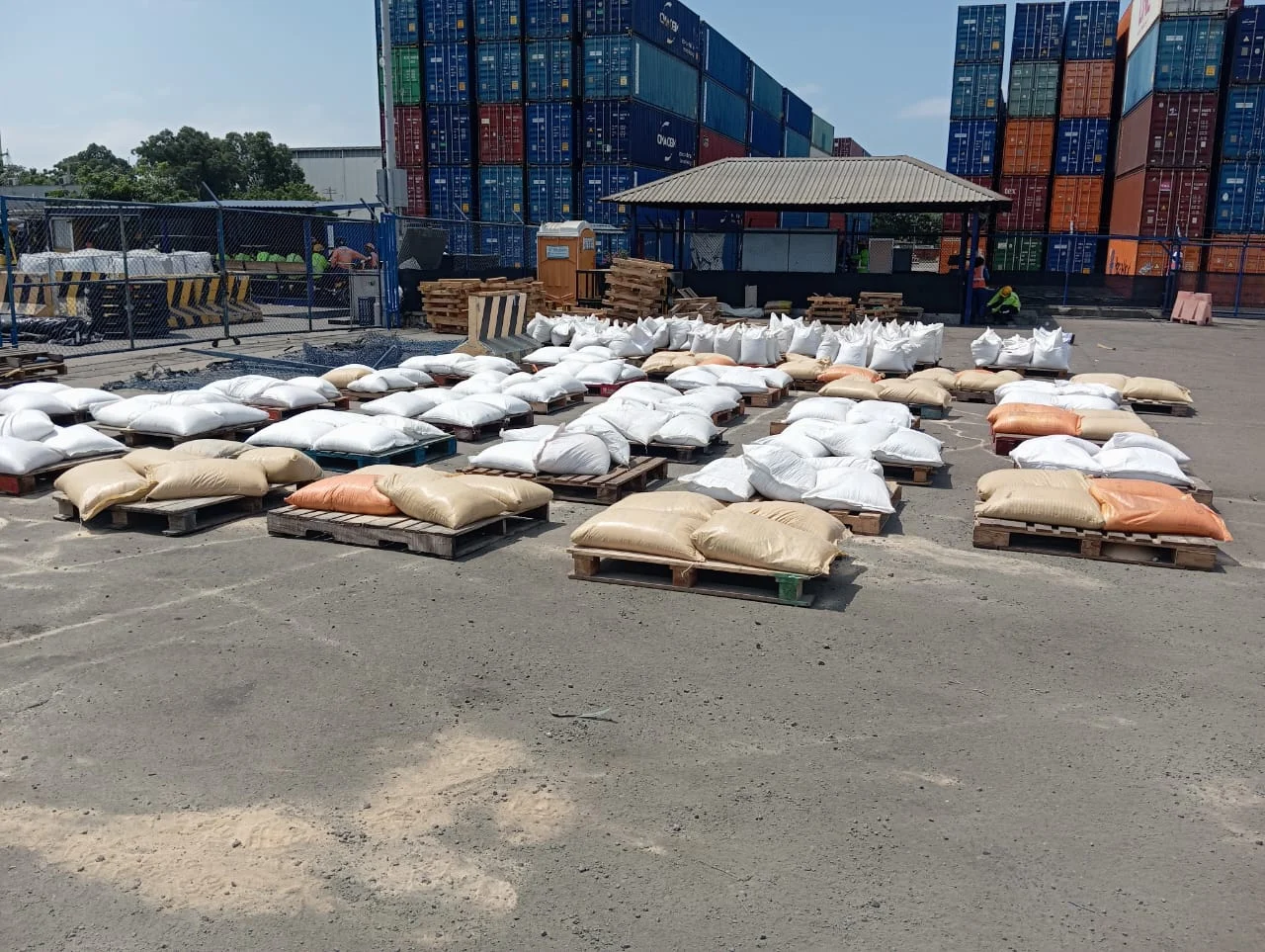 Material empacado junto a contenedores para exportación